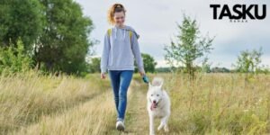 Tienaa koiria ulkoiluttamalla